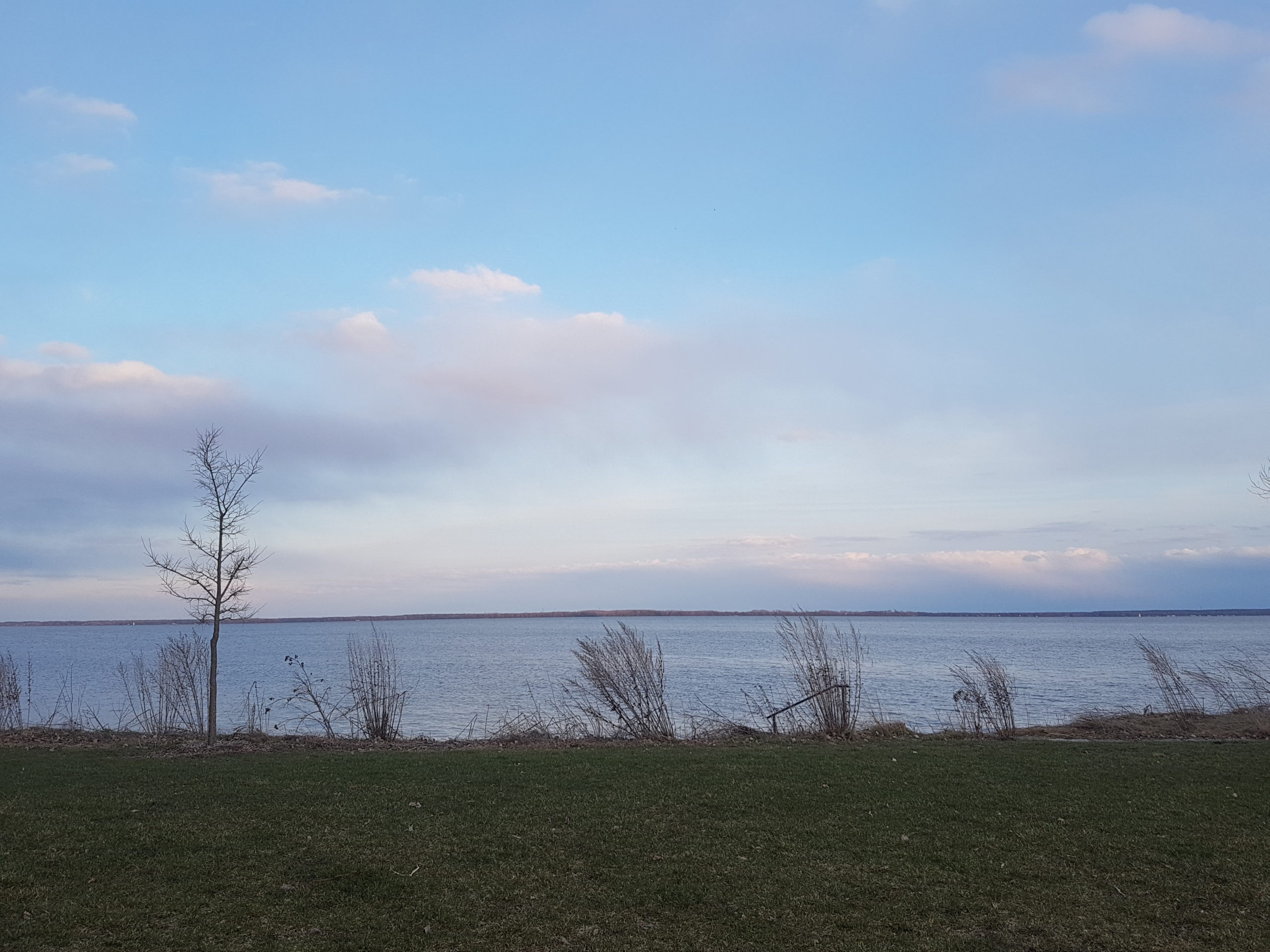 View from the lakefront