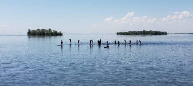 group of adults learning how to do stand-up paddleboarding