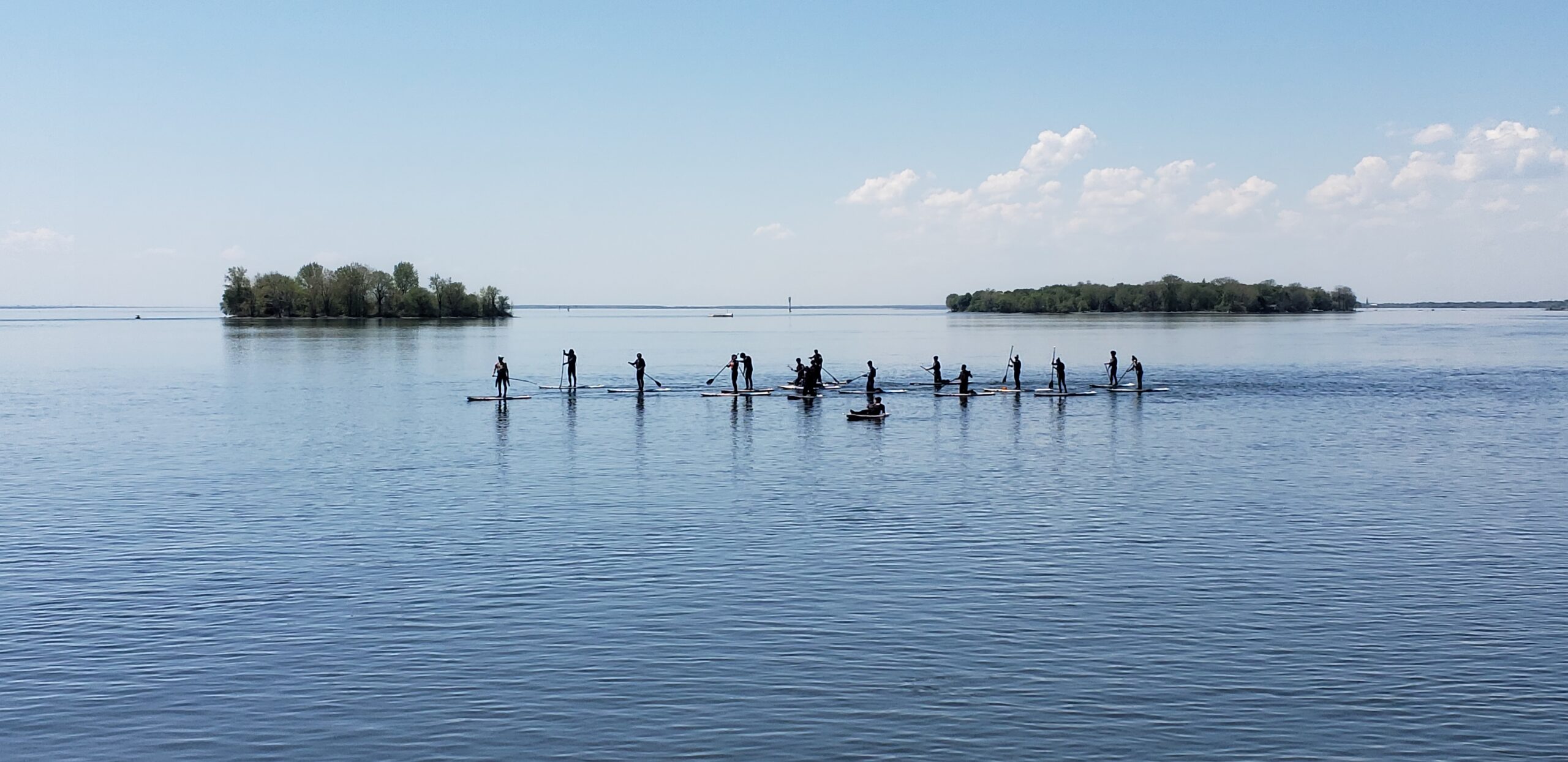 group of adults learning how to do stand-up paddleboarding